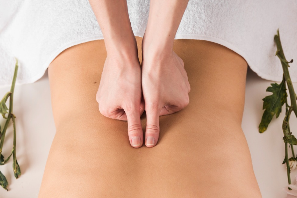 Máster de Masaje Integral